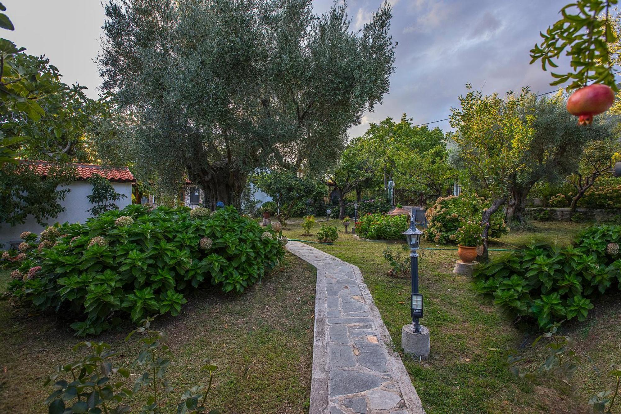 Alekas Studios Therma  Exterior foto